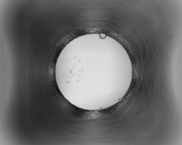 X0000100330427200806051207