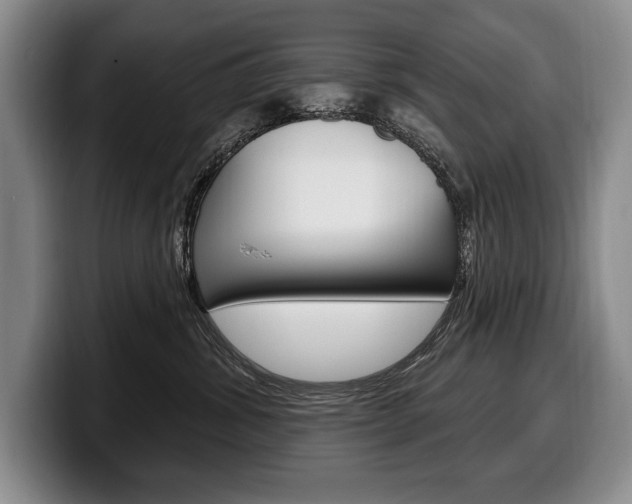 X0000100330428200806051207