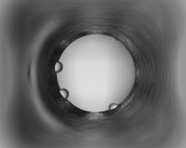 X0000100330429200806051207
