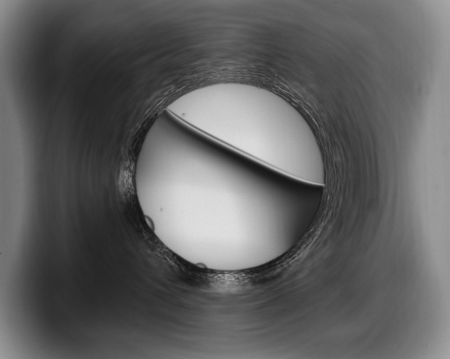 X0000100330432200806051207
