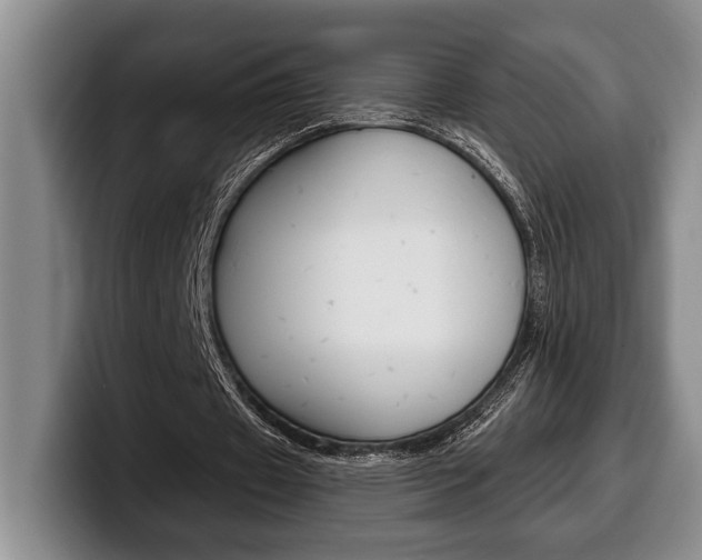 X0000100330433200806051207