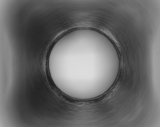 X0000100330434200806051207