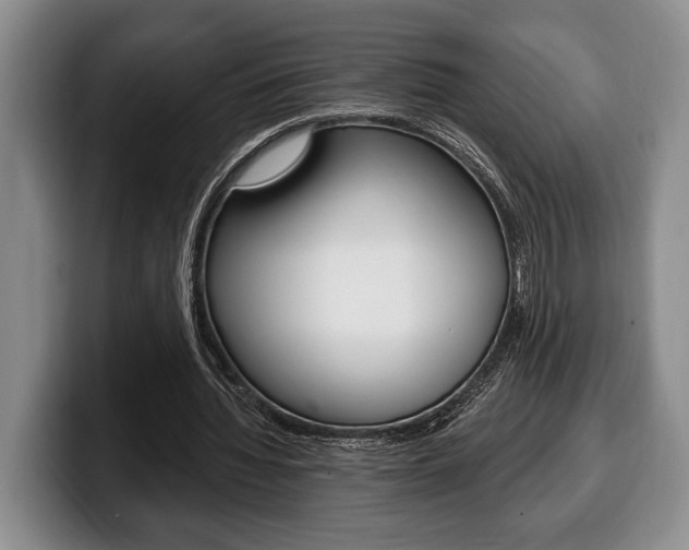 X0000100330436200806051207