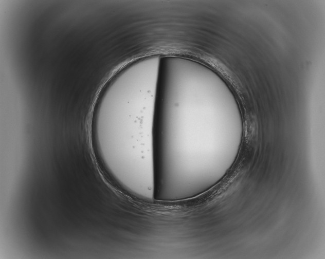 X0000100330438200806051207