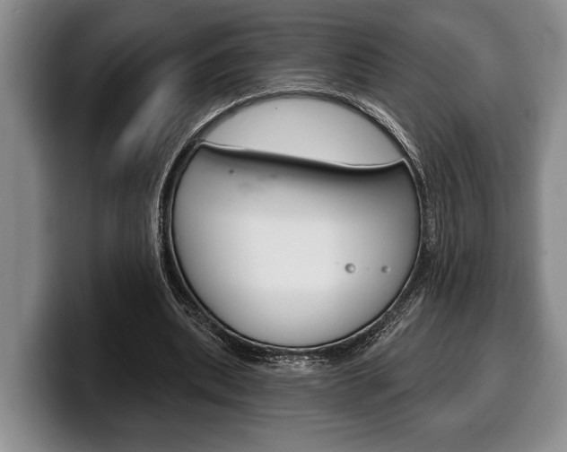 X0000100330439200806051207