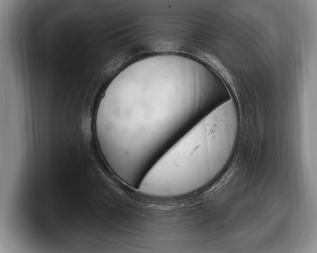 X0000100330441200806051207