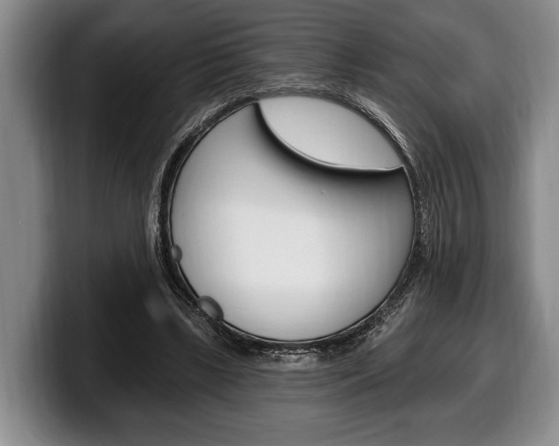 X0000100330443200806051207