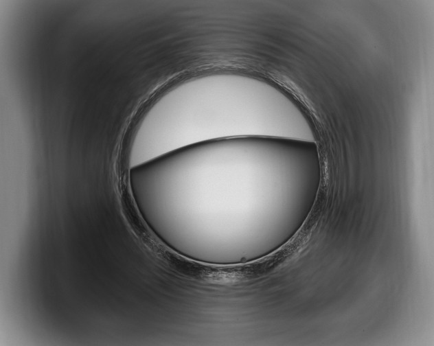 X0000100330444200806051207