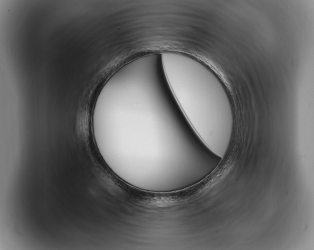 X0000100330445200806051207