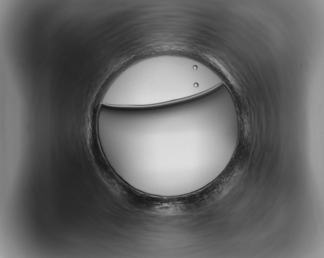 X0000100330447200806051207
