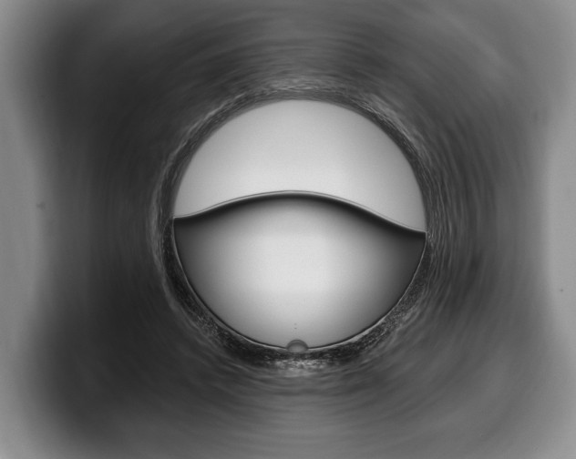 X0000100330448200806051207