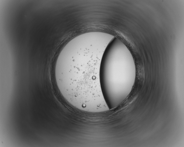 X0000100330451200806051207