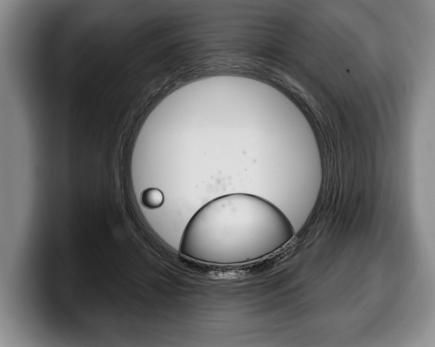 X0000100330452200806051207