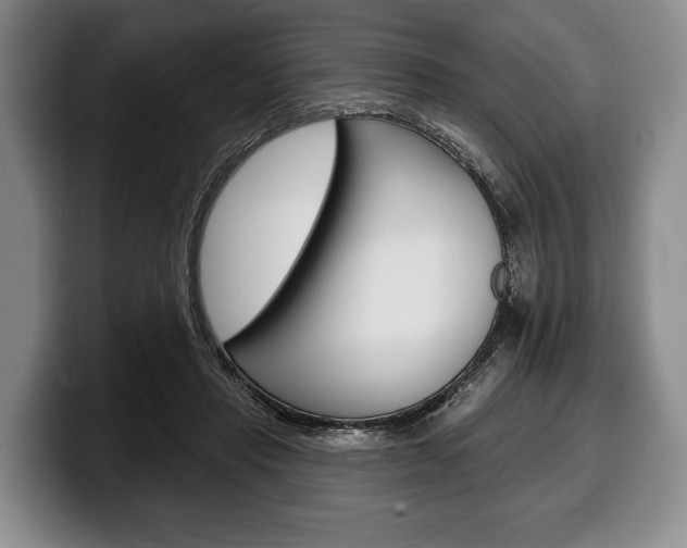 X0000100330453200806051207