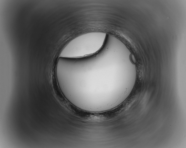X0000100330455200806051207