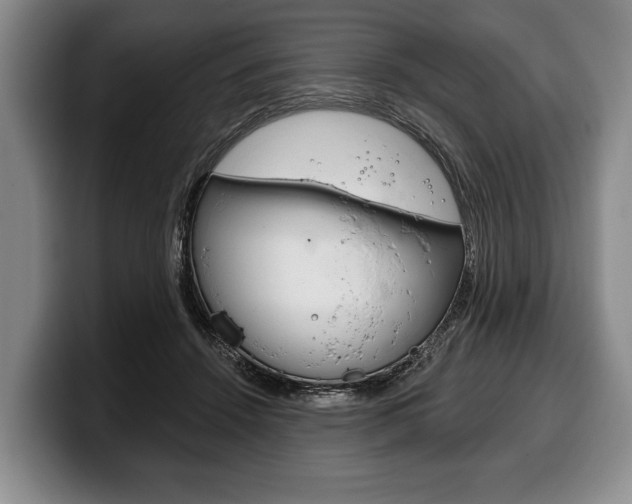 X0000100330456200806051207
