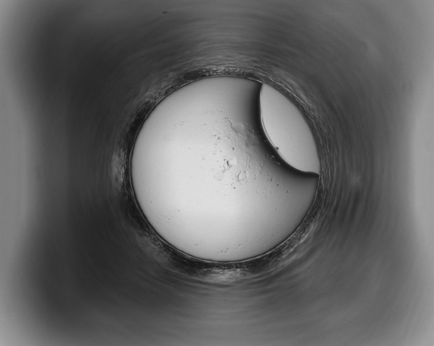 X0000100330458200806051207