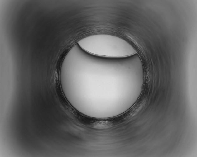 X0000100330459200806051207
