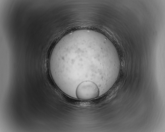 X0000100330462200806051207