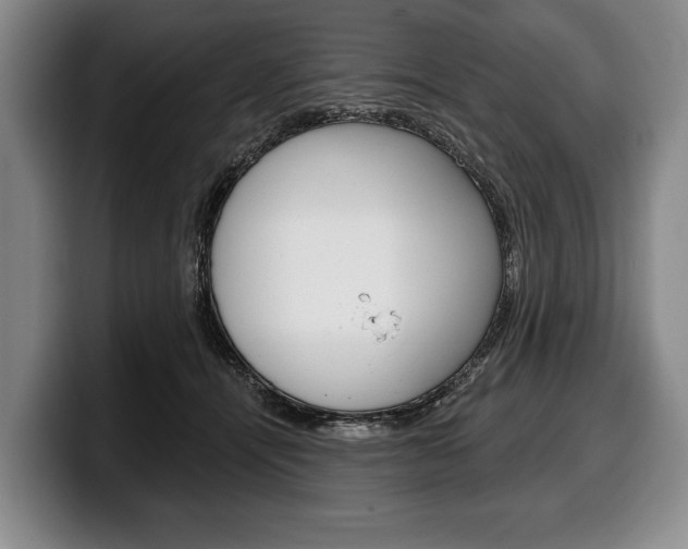 X0000100330464200806051207