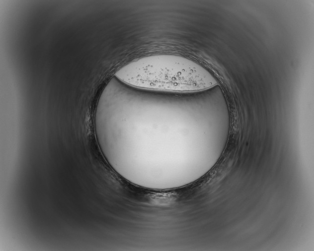 X0000100330465200806051207