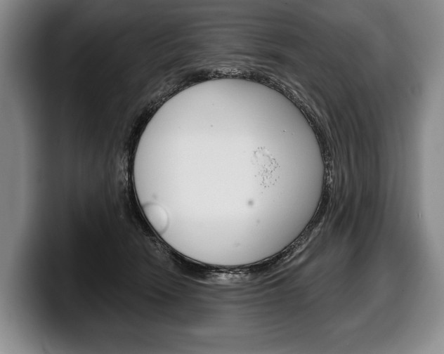 X0000100330466200806051207