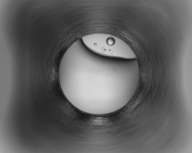 X0000100330467200806051207
