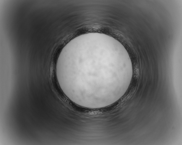 X0000100330468200806051207
