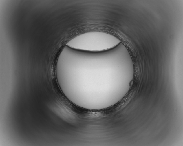 X0000100330469200806051207