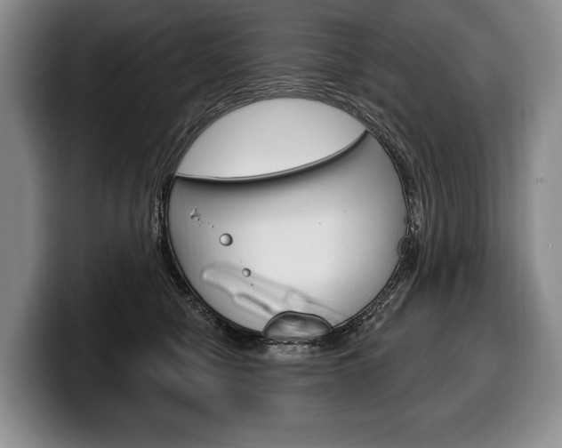 X0000100330470200806051207