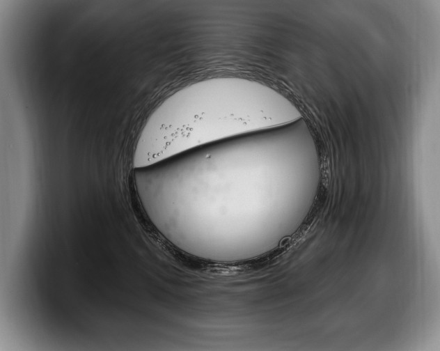 X0000100330472200806051207