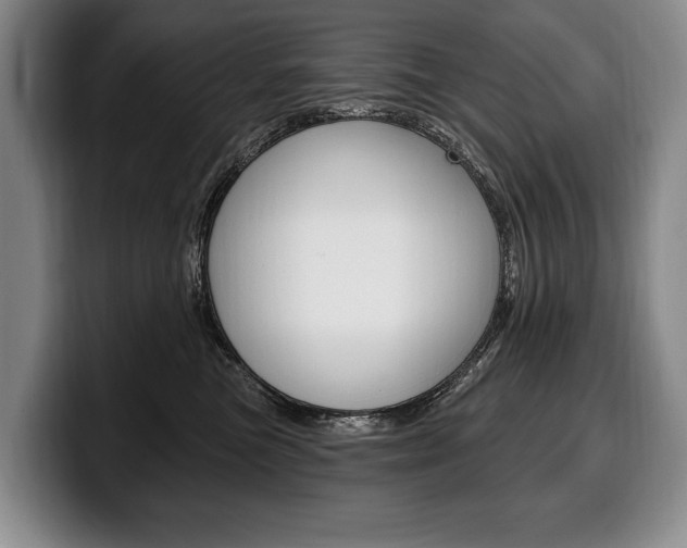 X0000100330473200806051207