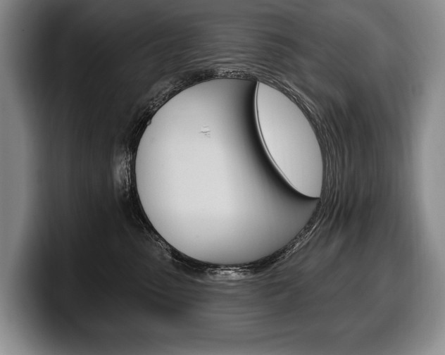 X0000100330475200806051207