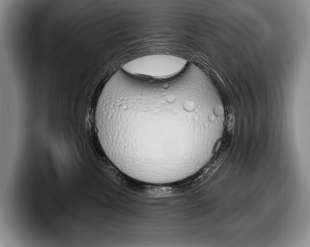 X0000100330476200806051207