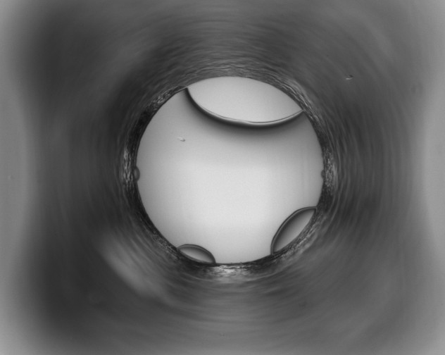 X0000100330477200806051207