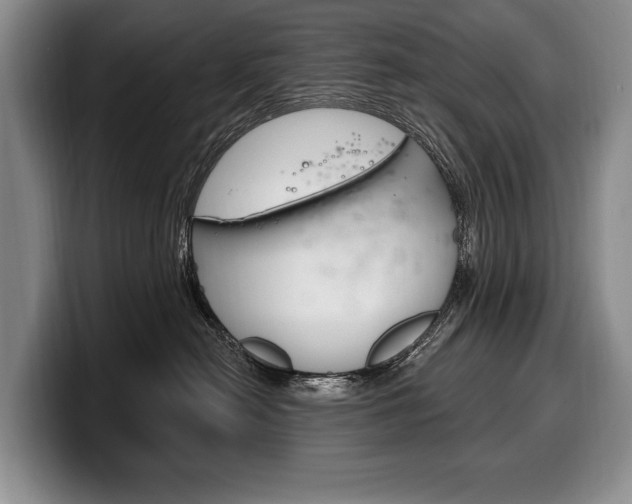X0000100330478200806051207