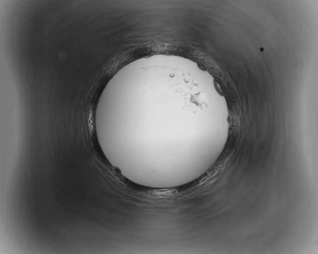 X0000100330479200806051207