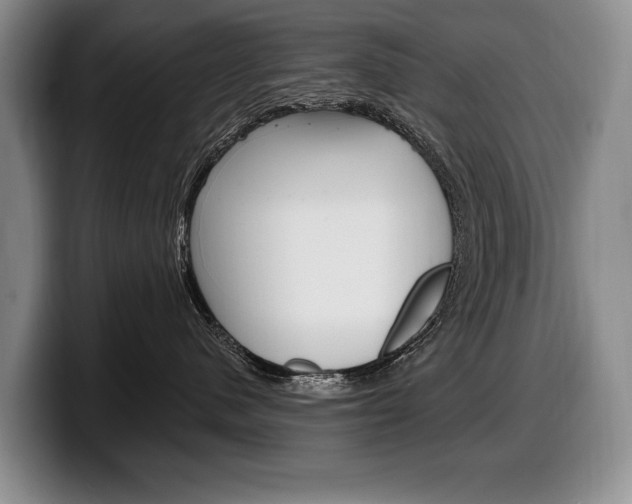 X0000100330480200806051207