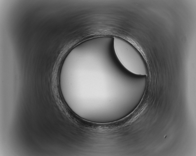 X0000100330481200806051207
