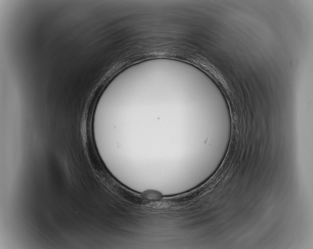 X0000100330482200806051207