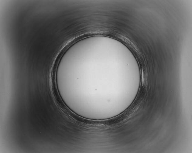 X0000100330483200806051207