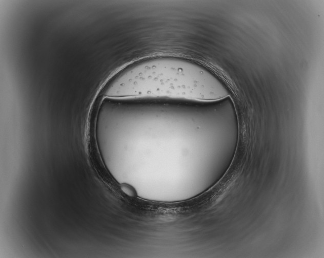 X0000100330484200806051207
