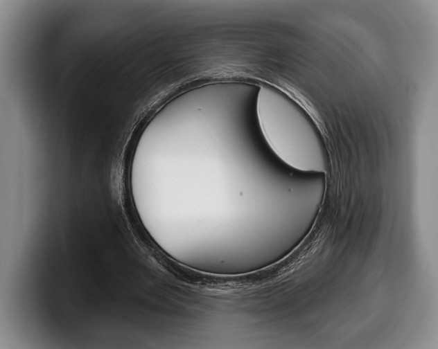 X0000100330485200806051207