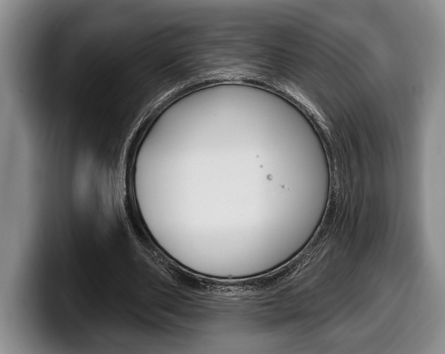 X0000100330486200806051207