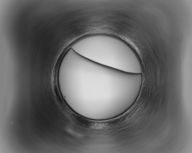 X0000100330487200806051207