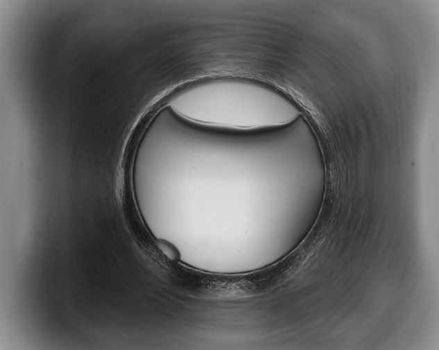 X0000100330488200806051207
