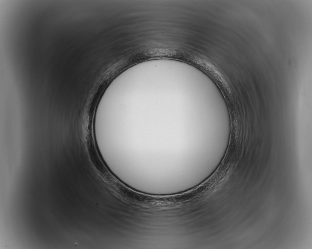 X0000100330490200806051207