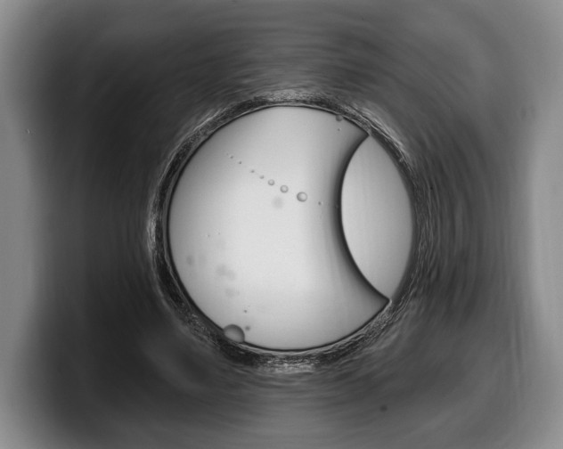 X0000100330491200806051207
