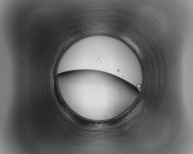 X0000100330493200806051207