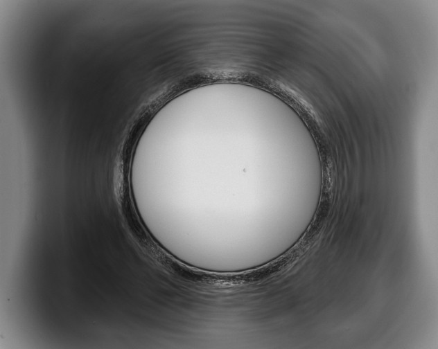 X0000100330494200806051206